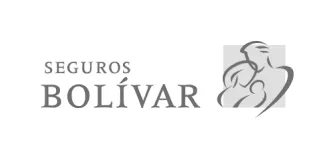 viccom-seguros-bolivar